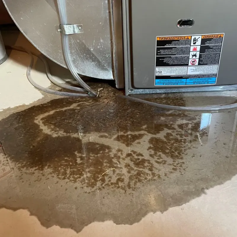 Pipe Burst and Leak Restoration in Johnston, RI