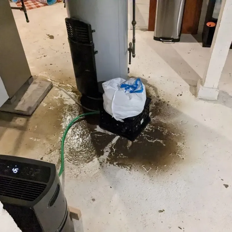 Sewage Backup Cleanup Service in Johnston, RI